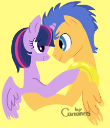 Size: 956x1112 | Tagged: safe, artist:carranzis, derpibooru import, flash sentry, twilight sparkle, twilight sparkle (alicorn), alicorn, pony, eye contact, female, flashlight, male, mare, shipping, smiling, straight