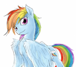 Size: 1400x1236 | Tagged: artist needed, safe, derpibooru import, rainbow dash, pegasus, pony, /mlp/, cute, dashabetes, drawthread, looking at you, simple background, solo, white background