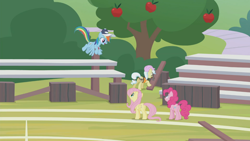 Size: 1366x768 | Tagged: safe, derpibooru import, screencap, ambrosia, cindy block, fluttershy, pinkie pie, rainbow dash, earth pony, pegasus, pony, 2 4 6 greaaat, apple tree, bleachers, cap, field, hat, tree, whistle