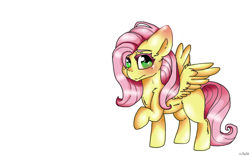Size: 1600x997 | Tagged: safe, artist:drducksauce, fluttershy, pegasus, pony, raised hoof, simple background, solo, spread wings