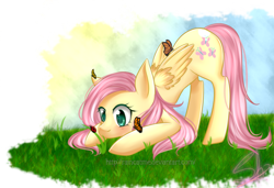 Size: 1024x702 | Tagged: safe, artist:raincatme, fluttershy, butterfly, ladybug, pegasus, pony, blushing, female, folded wings, grass, looking at something, looking down, mare, outdoors, solo, wings