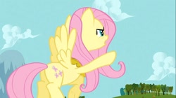 Size: 1100x618 | Tagged: safe, screencap, fluttershy, pegasus, pony, keep calm and flutter on, female, mare, plot