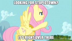 Size: 889x500 | Tagged: safe, edit, edited screencap, screencap, fluttershy, pegasus, pony, keep calm and flutter on, element of kindness, image macro, jewelry, meme, pointing, regalia, solo