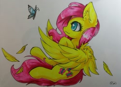 Size: 927x669 | Tagged: safe, artist:sapphfyr, fluttershy, butterfly, pegasus, pony, solo, traditional art