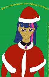 Size: 2130x3313 | Tagged: safe, artist:stormfalcon, derpibooru import, twilight sparkle, human, humanized