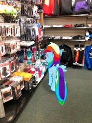 Size: 3024x4032 | Tagged: safe, derpibooru import, photographer:undeadponysoldier, rainbow dash, pegasus, pony, augmented reality, clothes, female, gameloft, hibbet sport, irl, mare, photo, ponies in real life, solo