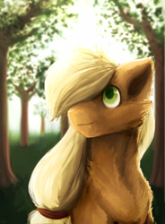 Size: 2350x3200 | Tagged: safe, artist:miarmo, applejack, earth pony, pony, fluffy, forest, solo