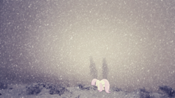 Size: 1920x1080 | Tagged: safe, artist:codershy, artist:sulyo, derpibooru import, fluttershy, pegasus, pony, alone, blizzard, female, forest, irl, mare, photo, sad, snow, snowfall, solo, vector, wallpaper