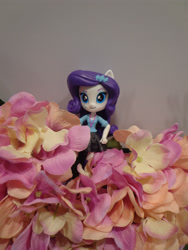 Size: 3456x4608 | Tagged: safe, rarity, equestria girls, airport, doll, equestria girls minis, eqventures of the minis, flower, singapore, toy