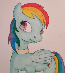 Size: 2636x2954 | Tagged: safe, artist:xalaris, derpibooru import, rainbow dash, pegasus, pony, collar, solo, traditional art