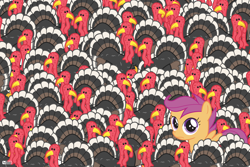 Size: 2700x1800 | Tagged: safe, artist:dm29, derpibooru import, scootaloo, one of these things is not like the others, scootachicken, solo, turkey, wallpaper