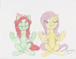 Size: 2193x1700 | Tagged: safe, artist:semijuggalo, fluttershy, tree hugger, pegasus, pony, blushing, female, flutterhugger, lesbian, lotus position, mare, meditating, peeking, shipping, smiling, traditional art