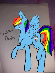 Size: 2448x3264 | Tagged: safe, artist:luyna, derpibooru import, rainbow dash, pegasus, pony, photo, sketch