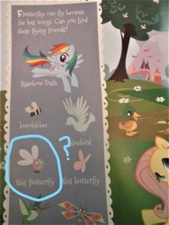 Size: 960x1280 | Tagged: safe, derpibooru import, fluttershy, rainbow dash, bird, butterfly, dragonfly, duck, hummingbird, insect, parasprite, pegasus, pony, bluebird, book, bumblebee, flutterfly, look and find, my little pony look and find, page, you had one job