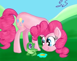 Size: 1024x819 | Tagged: safe, artist:some-pegasister, gummy, pinkie pie, earth pony, pony, duo, female, flower, looking at each other, mare