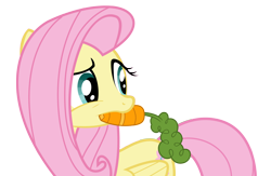 Size: 5000x3260 | Tagged: safe, artist:matthewboyz, fluttershy, pegasus, pony, dragonshy, carrot, cute, digital art, food, mouth hold, shyabetes, simple background, solo, transparent background, vector