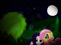 Size: 1047x785 | Tagged: safe, artist:mylittlelevi64, fluttershy, rarity, pegasus, pony, unicorn, female, flarity, full moon, lesbian, looking at something, mare, moon, night, shipping, starry night