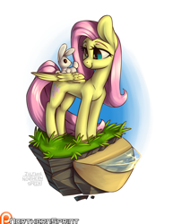 Size: 1024x1325 | Tagged: safe, artist:northernsprint, angel bunny, fluttershy, pegasus, pony, dirt cube, looking at each other, patreon, patreon logo, simple background, solo, white background