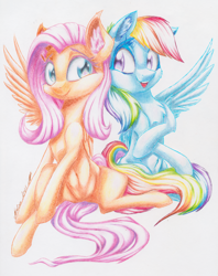 Size: 2362x2980 | Tagged: safe, artist:galinn-arts, derpibooru import, fluttershy, rainbow dash, pegasus, pony, belly button, colorful, duo, ear fluff, female, happy, looking at each other, mare, one wing out, open mouth, pencil drawing, simple background, sitting, smiling, spread legs, spreading, teeth, traditional art, white background, wings