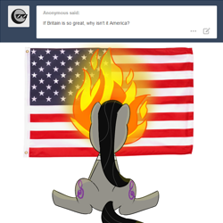 Size: 700x700 | Tagged: safe, octavia melody, earth pony, pony, ask, british, burning, fire, flag, mouthpiece, tumblr, united states