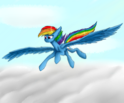 Size: 6000x5000 | Tagged: safe, artist:moonlight37dusk, derpibooru import, rainbow dash, pegasus, pony, cloud, cutie mark, female, floppy ears, flying, large wings, mare, solo, speedpaint available, wings