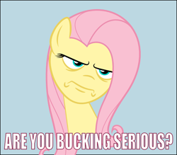 Size: 544x476 | Tagged: safe, artist:cheesepuffs, fluttershy, pegasus, pony, reaction image, solo, unamused, vulgar