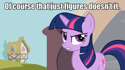 Size: 961x540 | Tagged: safe, derpibooru import, twilight sparkle, annoyed, image macro, meme, solo