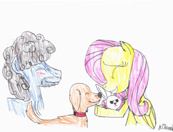 Size: 3275x2496 | Tagged: safe, artist:endlesswire94, angel bunny, fluttershy, oc, oc:endless wire, oc:naphtali, dog, pegasus, pony, blushing, eyes closed, fanfiction idea, golden retriever, jealous, scene, smiling, the chronicles of endless wire