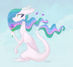 Size: 900x831 | Tagged: dead source, safe, artist:flourret, princess celestia, dragon, bipedal, chest fluff, dragonified, dragonlestia, ear fluff, feathered dragon, female, floppy ears, flower, fluffy, holding, lidded eyes, profile, signature, smiling, solo, species swap, wind