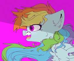 Size: 3000x2500 | Tagged: safe, artist:etoz, derpibooru import, rainbow dash, pegasus, pony, angry, fangs, female, insanity, mare, open mouth, rage, teeth, wings