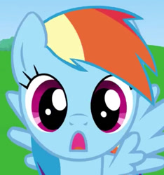 Size: 680x728 | Tagged: safe, derpibooru import, rainbow dash, pegasus, pony, cropped, reaction image, smile hd, solo