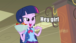 Size: 960x540 | Tagged: safe, derpibooru import, twilight sparkle, equestria girls, image macro, meme, solo