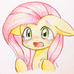 Size: 1280x1282 | Tagged: safe, artist:yukimaki, fluttershy, pegasus, pony, blushing, bust, crying, floppy ears, portrait, solo