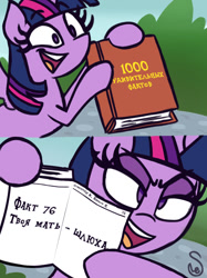 Size: 760x1015 | Tagged: safe, artist:quarium edits, edit, twilight sparkle, twilight sparkle (alicorn), alicorn, 2 panel comic, 2ch, book, comic, ed edd n eddy, exploitable meme, meme, mouthpiece, russian, solo, twilight's fact book, vulgar