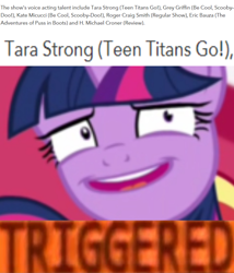 Size: 854x997 | Tagged: safe, twilight sparkle, meme, mouthpiece, obligatory pony, tara strong, teen titans go, text, triggered, voice actor joke