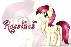 Size: 3000x2000 | Tagged: source needed, safe, artist:riddlekay, derpibooru import, roseluck, solo, wallpaper, zoom layer