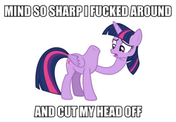 Size: 1011x700 | Tagged: safe, twilight sparkle, twilight sparkle (alicorn), alicorn, pony, 6 foot 7 foot, headless, image macro, lil wayne, meme, modular, simple background, solo, song reference, vulgar, white background