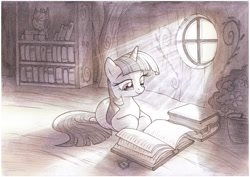 Size: 886x627 | Tagged: safe, artist:sherwoodwhisper, derpibooru import, owlowiscious, twilight sparkle, unicorn twilight, bird, owl, pony, unicorn, book, crepuscular rays, featured on derpibooru, female, golden oaks library, mare, monochrome, prone, reading, smiling, solo focus, traditional art, window