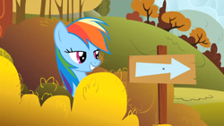 Size: 1920x1080 | Tagged: safe, derpibooru import, screencap, rainbow dash, pegasus, pony, fall weather friends, bedroom eyes, sign, solo