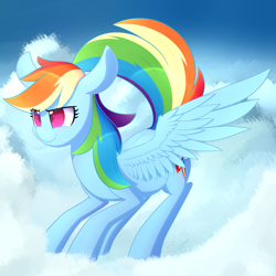 Size: 5000x5000 | Tagged: safe, artist:silshadnic, derpibooru import, rainbow dash, pegasus, pony, cloud, female, high res, mare, on a cloud, solo, standing on cloud