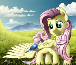 Size: 2023x1741 | Tagged: safe, artist:uliovka, fluttershy, bird, pegasus, pony, cute, grass field, looking at each other, looking at something, one wing out, shyabetes, smiling, solo, standing