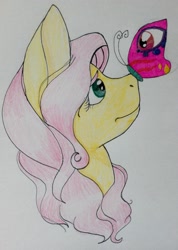 Size: 1652x2321 | Tagged: safe, artist:swagpony135, fluttershy, butterfly, pegasus, pony, bust, insect on nose, looking at something, looking up, portrait, profile, simple background, solo, traditional art