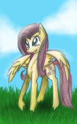 Size: 600x960 | Tagged: safe, artist:hippityhoppity28, fluttershy, pegasus, pony, grass, happy, solo