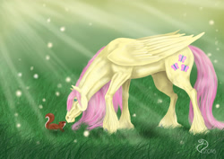 Size: 3508x2480 | Tagged: safe, artist:cvanilda, fluttershy, pegasus, pony, squirrel, female, hoers, mare