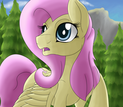 Size: 1024x890 | Tagged: safe, artist:witchtaunter, fluttershy, pegasus, pony, female, mare, solo, tree
