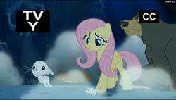 Size: 2535x1435 | Tagged: safe, screencap, angel bunny, fluttershy, harry, pegasus, pony, 28 pranks later, tv-y