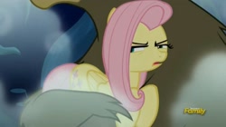 Size: 1652x925 | Tagged: safe, screencap, fluttershy, harry, pegasus, pony, 28 pranks later, discovery family logo, reaction image