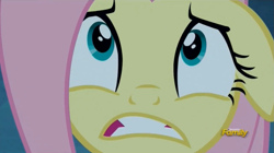 Size: 1277x713 | Tagged: safe, screencap, fluttershy, pegasus, pony, 28 pranks later, bust, close-up, discovery family logo, portrait, solo