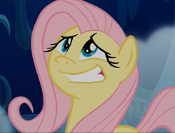 Size: 1389x1057 | Tagged: safe, screencap, fluttershy, pegasus, pony, 28 pranks later, cute, faic, female, grin, mare, shyabetes, smiling, solo