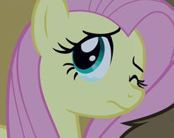Size: 604x478 | Tagged: safe, screencap, fluttershy, pegasus, pony, 28 pranks later, anxiety, crying, cute, female, mare, sad, scared, shyabetes, solo